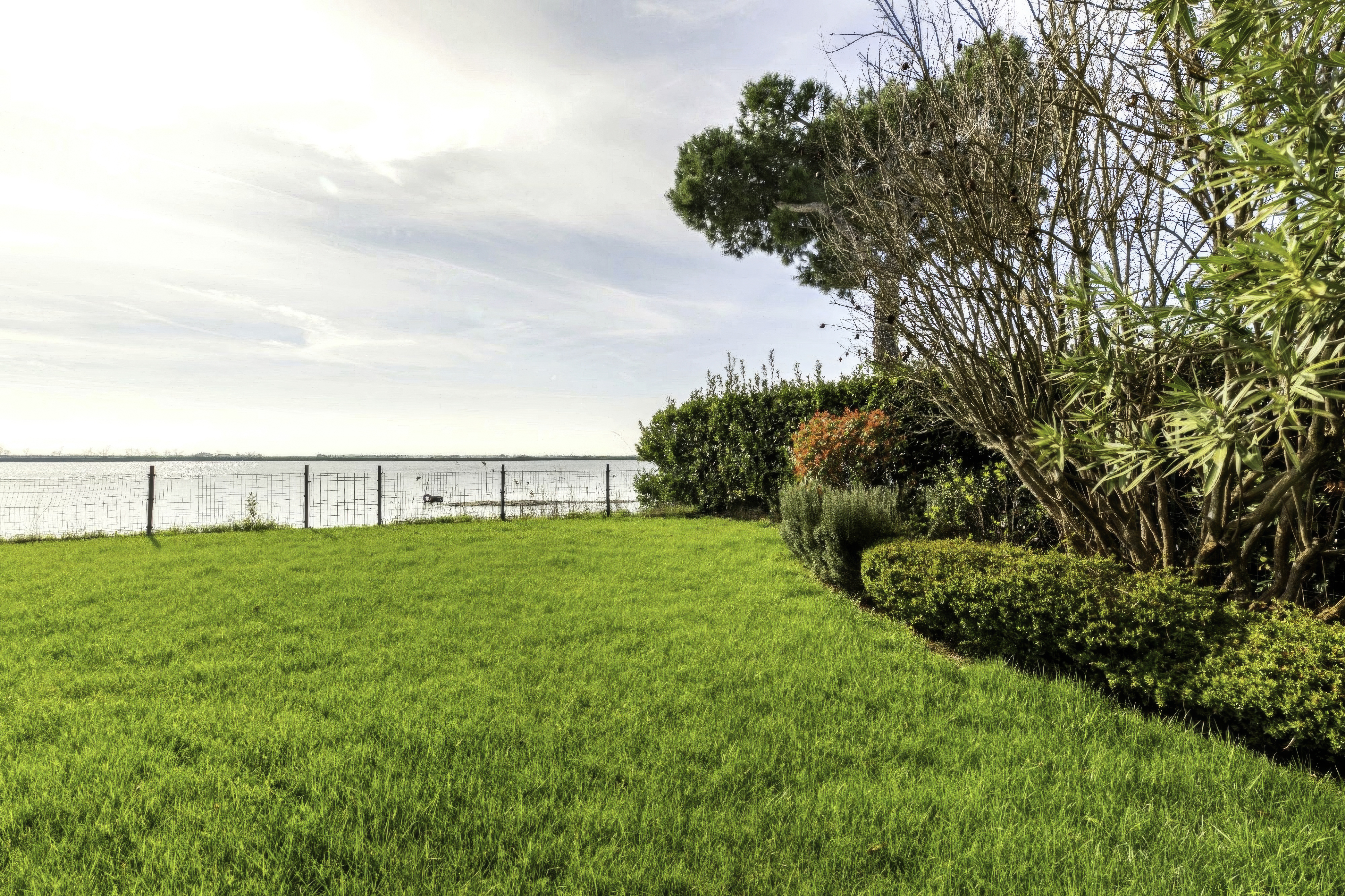 Villa Albarella backyard